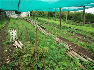 9.6 ha Farm in Clansthal