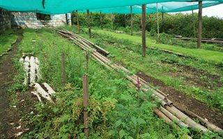 9.6 ha Farm in Clansthal