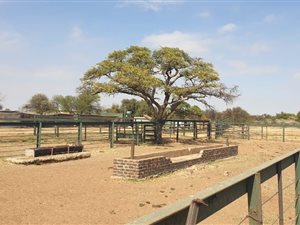 711 ha Farm in Christiana