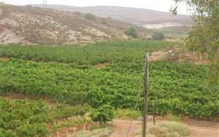 27 ha Land available in Lutzville