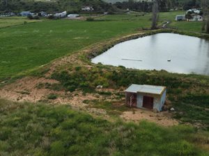 5 ha Farm in Bonnievale