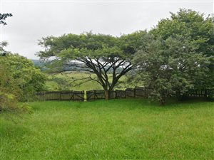 2 Bed House in Graskop