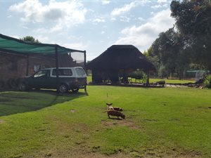 3 ha Farm in Mont Lorraine