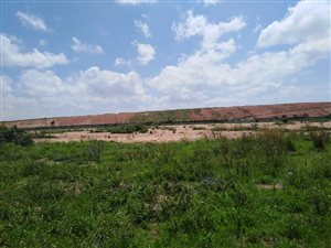 2 ha Land available in Linbro Park