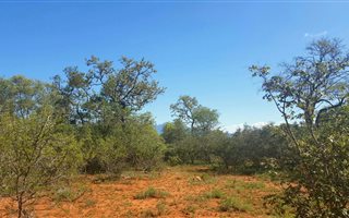 1397.2 ha Land available in Hoedspruit