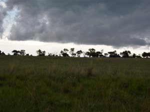 2288 m² Land available in Lekwena Wildlife Estate