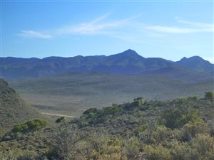 73 ha Farm in Ladismith