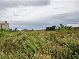 705 m² Land available in Bettys Bay