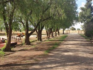 1839 ha Farm in Delareyville