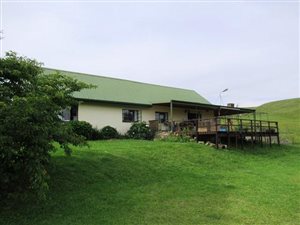 20 ha Farm in Currys Post