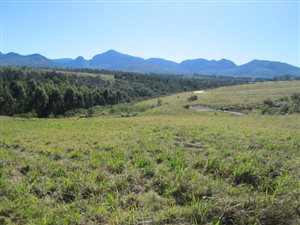 740 m² Land available in Welgelegen