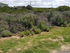 592 m² Land available in Boggomsbaai