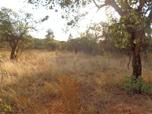 968 m² Land available in Roodeplaat