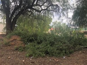 1321 m² Land available in Oudtshoorn
