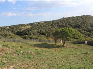 924 m² Land available in Port Alfred