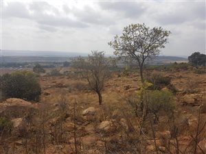 9 ha Land available in Tiegerpoort
