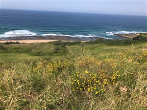 1516 m² Land available in Seaton Estate