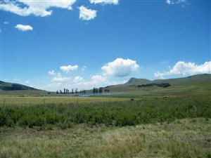 455 ha Farm in Impendle