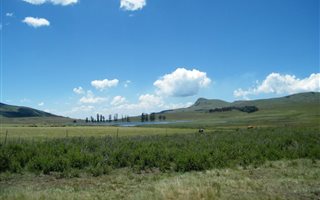 455 ha Farm in Impendle