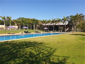 1252 m² Land available in Zinkwazi Beach