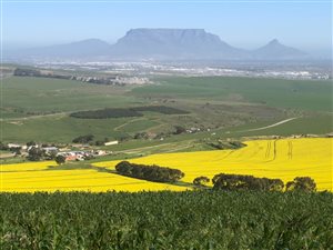 183 ha Farm in Durbanville Central
