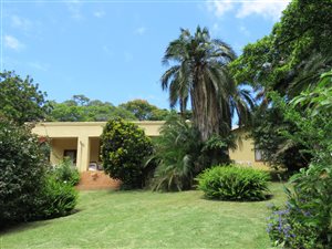 4 Bed House in Southbroom