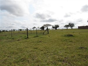 539 m² Land available in Cove Rock