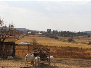 102 ha Farm with House in Potchefstroom Central