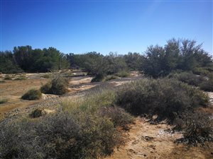 3948 ha Farm in Ceres