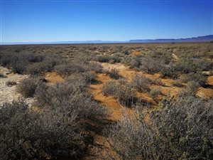 3948 ha Farm in Ceres