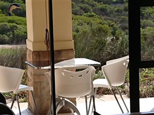 2 Bed Apartment in Atlantic Beach Golf Estate