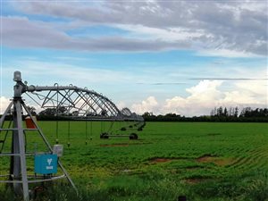 64.3 ha Farm in Jan Kempdorp