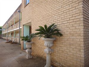 1 Bed Apartment in Pioneer Park