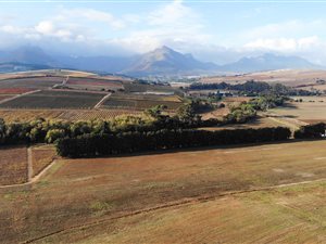 10.2 ha Farm in Stellenbosch Agricultural