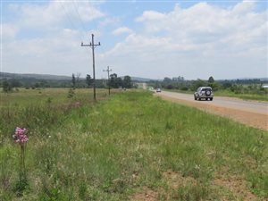 43 ha Land available in Tiegerpoort
