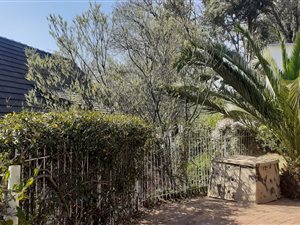 4 Bed House in Kensington