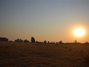 4.2 ha Farm in Hillside AH