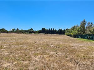 9788 m² Land available in Vierlanden