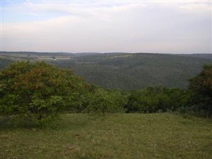 39.2 ha Farm in Thornhill