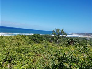 990 m² Land available in Woodgrange