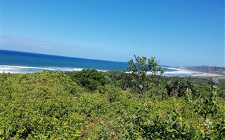 990 m² Land available in Woodgrange
