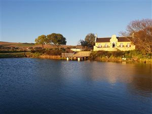 23 ha Farm in Stellenbosch Agricultural