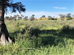 4015 ha Farm in Upington