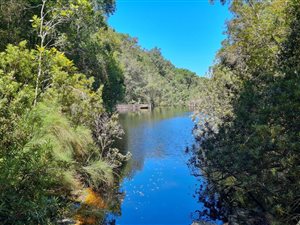 476 ha Farm in Mossel Bay Central