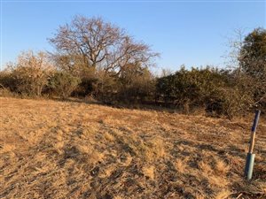 1226 m² Land available in Hazeldean (Silverlakes Surroundings)