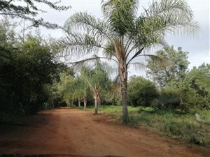 7.5 ha Smallholding in Leeuwfontein