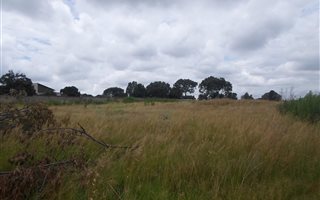 1.1 ha Land available in Finsbury