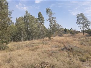 8500 m² Farm in Farmall