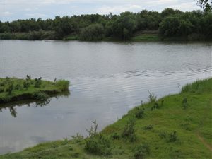 Game Farm in Douglas