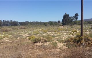 740 m² Land available in Redelinghuys
